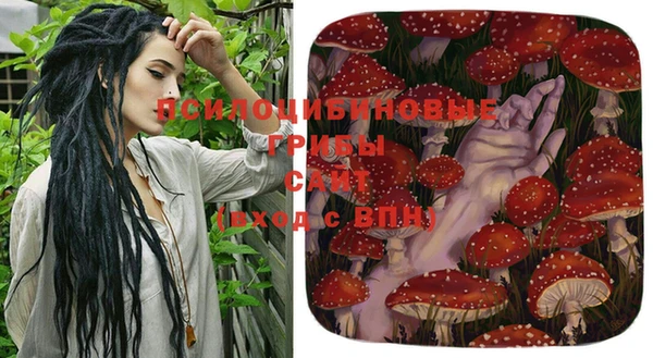 соль курить ск Алексеевка